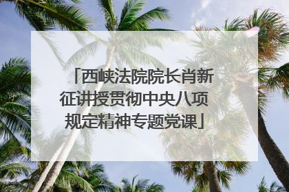 西峡法院院长肖新征讲授贯彻中央八项规定精神专题党课