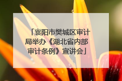 襄阳市樊城区审计局举办《湖北省内部审计条例》宣讲会