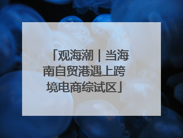 观海潮｜当海南自贸港遇上跨境电商综试区