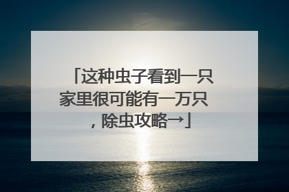 这种虫子看到一只家里很可能有一万只，除虫攻略→