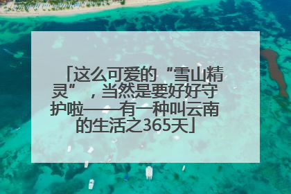 这么可爱的“雪山精灵”，当然是要好好守护啦——有一种叫云南的生活之365天