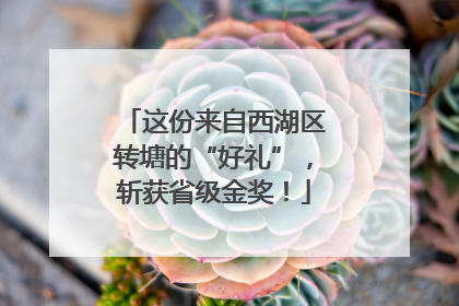 这份来自西湖区转塘的“好礼”，斩获省级金奖！