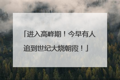 进入高峰期！今早有人追到世纪大烧朝霞！