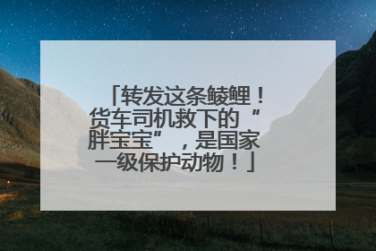 转发这条鲮鲤！货车司机救下的“胖宝宝”，是国家一级保护动物！