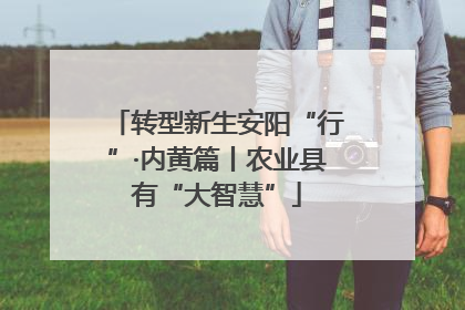 转型新生安阳“行”·内黄篇丨农业县有“大智慧”