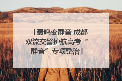 轰鸣变静音 成都双流交警护航高考“静音”专项整治