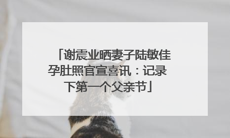 谢震业晒妻子陆敏佳孕肚照官宣喜讯：记录下第一个父亲节