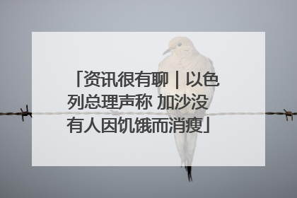 资讯很有聊｜以色列总理声称 加沙没有人因饥饿而消瘦