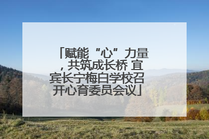 赋能“心”力量，共筑成长桥 宜宾长宁梅白学校召开心育委员会议