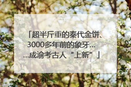 超半斤重的秦代金饼、3000多年前的象牙……成渝考古人“上新”