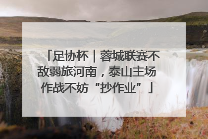 足协杯｜蓉城联赛不敌弱旅河南，泰山主场作战不妨“抄作业”
