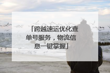 跨越速运优化查单号服务，物流信息一键掌握
