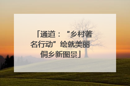 通道：“乡村著名行动”绘就美丽侗乡新图景