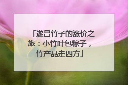 遂昌竹子的涨价之旅：小竹叶包粽子，竹产品走四方
