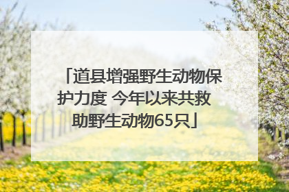 道县增强野生动物保护力度 今年以来共救助野生动物65只