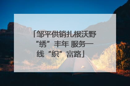 邹平供销扎根沃野“绣”丰年 服务一线“织”富路
