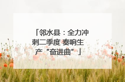 邻水县：全力冲刺二季度 奏响生产“奋进曲”