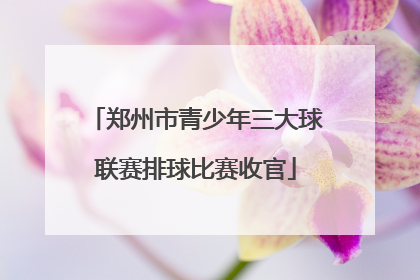 郑州市青少年三大球联赛排球比赛收官