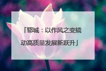 郓城：以作风之变撬动高质量发展新跃升