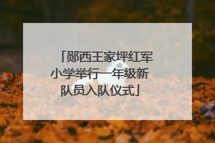 郧西王家坪红军小学举行一年级新队员入队仪式