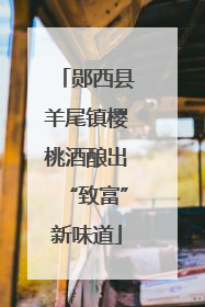 郧西县羊尾镇樱桃酒酿出“致富”新味道