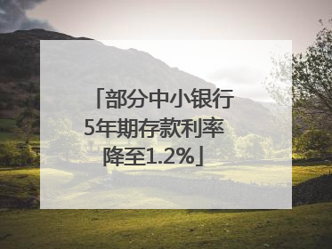 部分中小银行5年期存款利率降至1.2%