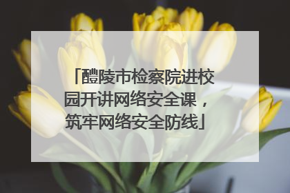 醴陵市检察院进校园开讲网络安全课，筑牢网络安全防线