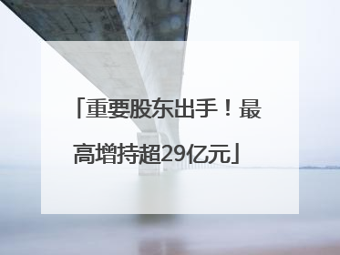 重要股东出手！最高增持超29亿元