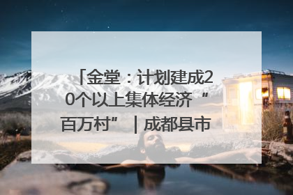 金堂：计划建成20个以上集体经济“百万村”｜成都县市新城高质量发展