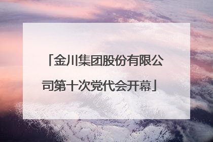 金川集团股份有限公司第十次党代会开幕