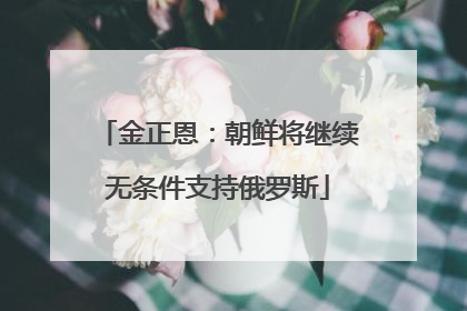 金正恩：朝鲜将继续无条件支持俄罗斯