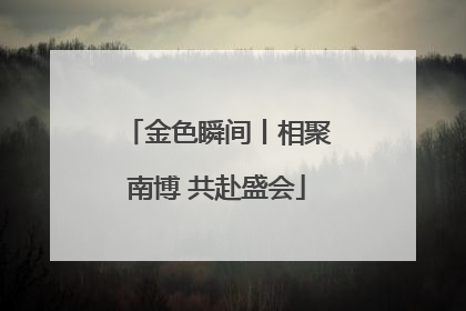金色瞬间丨相聚南博 共赴盛会
