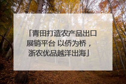 青田打造农产品出口展销平台 以侨为桥，浙农优品越洋出海
