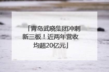 青岛武晓集团冲刺新三板！近两年营收均超20亿元