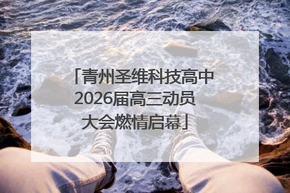 青州圣维科技高中2026届高三动员大会燃情启幕