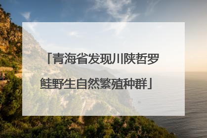 青海省发现川陕哲罗鲑野生自然繁殖种群