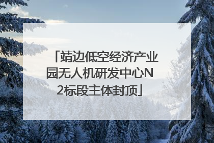 靖边低空经济产业园无人机研发中心N2标段主体封顶