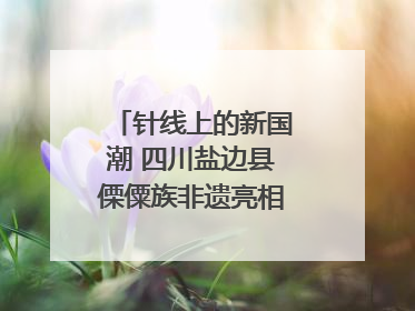 针线上的新国潮 四川盐边县傈僳族非遗亮相西博会｜图集