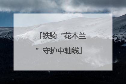 铁骑“花木兰”守护中轴线