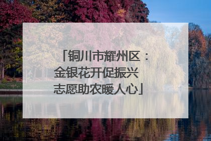 铜川市耀州区：金银花开促振兴 志愿助农暖人心