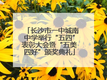 长沙市一中城南中学举行“五四”表彰大会暨“五美四好”颁奖典礼