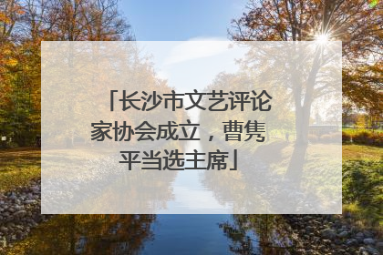 长沙市文艺评论家协会成立，曹隽平当选主席