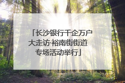 长沙银行千企万户大走访·裕南街街道专场活动举行