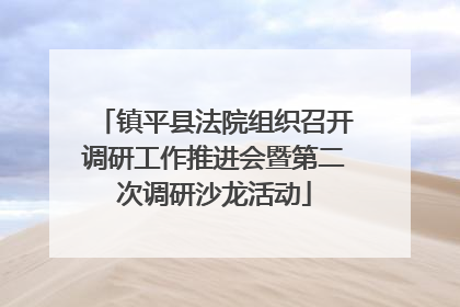 镇平县法院组织召开调研工作推进会暨第二次调研沙龙活动