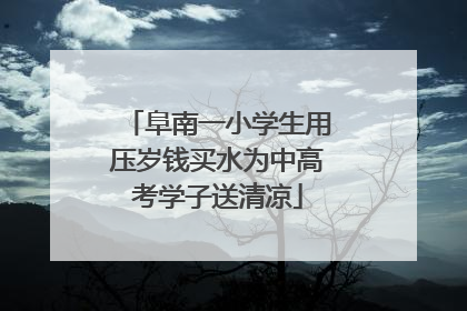 阜南一小学生用压岁钱买水为中高考学子送清凉