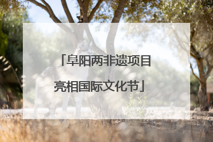 阜阳两非遗项目亮相国际文化节