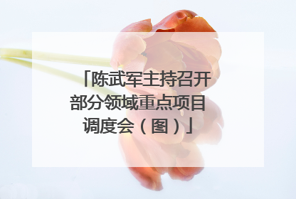陈武军主持召开部分领域重点项目调度会（图）