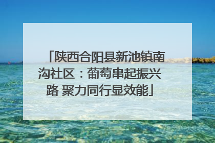陕西合阳县新池镇南沟社区：葡萄串起振兴路 聚力同行显效能