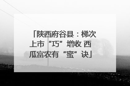 陕西府谷县：梯次上市“巧”增收 西瓜富农有“蜜”诀