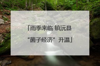 雨季来临 镇沅县“菌子经济”升温